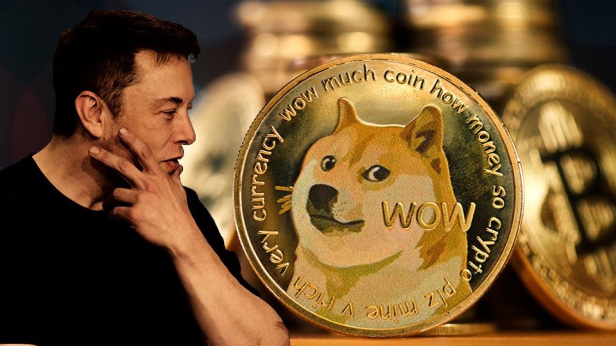 Why Dogecoin Could Be the Next Bitcoin