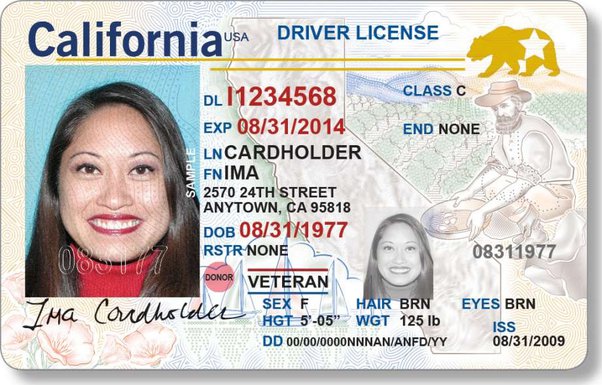 Is a driving license mandatory in the USA?